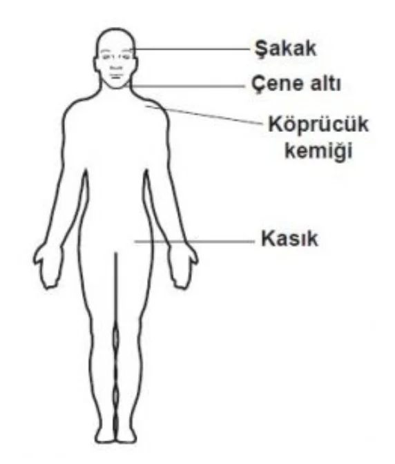 Omuz ve koldaki kanamalarda, şekilde gösterilen hangi bölgeye basınç uygulanmalıdır? — soru görseli
