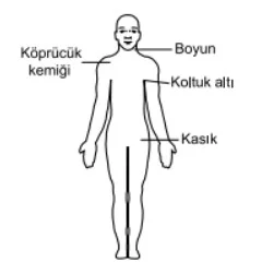 Bacaktaki kanamalarda şekilde gösterilen hangi bölgeye basınç uygulanmalıdır? — soru görseli